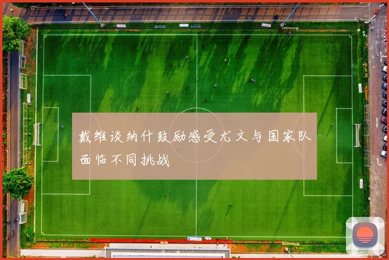 戴维谈纳什鼓励感受尤文与国家队面临不同挑战