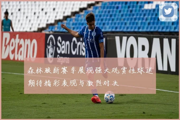 森林狼新赛季展现强大观赏性球迷期待精彩表现与激烈对决